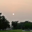 시흥 갯골생태공원 이미지