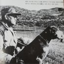 육군첩보부대 제1지 | [20260117]이범석장군 꿩 사냥 했던 1963년 안양 수리산