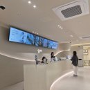 남양스타치과의원 | 담다치과/남양읍치과/남양치과/남양읍치과추천/과잉진료없는치과