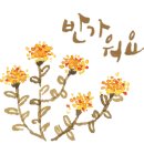 꽃피는나무 이미지