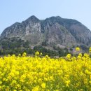 산방산 이미지