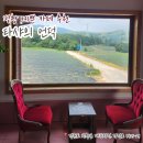 타샤의언덕 | 평창 예쁜카페 : 타샤의언덕(노키즈존/노펫존)