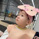 뮤직팡팡 음악놀이3 이미지