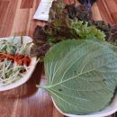 대패꽃 피는날 이미지