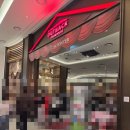 치킨파이브 | 25년 크리스마스에 방문한 아웃백 기브미파이브, 투움바 파스타, 치킨텐더 샐러드 먹은 후기