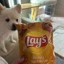 북경관 | 마카오 둘째 날&amp;마지막 날