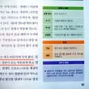 겨울을 따뜻하게 보냅시다. 감태나무 정보 이미지