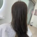 살롱드 봄처럼