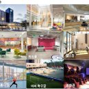이에프앤바(EF&BAR) | EF School San Diego, 이에프 샌디에고 스쿨(미국어학연수)