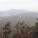 장미의거리11 이미지