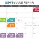 자이마트 이미지