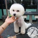 잇츠그루밍타임 이미지