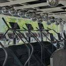 슈퍼스타 휘트니스 이미지