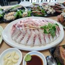 목포 활어회 플라자 이미지