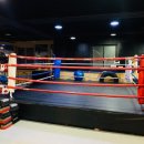 칠곡MS복싱 이미지