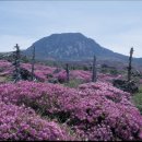 한국의 세계유산 이미지