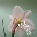 기분좋은날 - 서구 내당동 | 기분좋은날