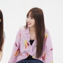 양심농장 이미지