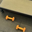 생선가게 | 수원역 고양이카페 고양이네 생선가게 방문 후기! 데이트 추천!