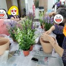 청하면보건지소 이미지