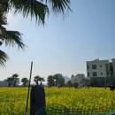 싱싱한 생선나라 | [제주 힐링 여행6]이국적인 제주 바다<사계해변(사계해안)>&amp;싱싱한 회포장<사계정선장>