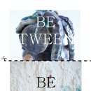 세한대학교 일반대학원 이미지