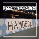 함덕 푸른밤 | 제주 동쪽바다 10월 가볼만한곳 함덕해수욕장 밤바다 산책 후기
