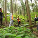 편백나무숲 이미지