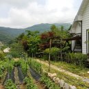 산아래 하우스 이미지