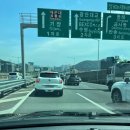송림공원 주차장 | 6월 부산 꽃놀이 해운대 송림공원 수국 후기 (feat. 동백공원 공영주차장 가격정보)