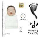 베베랑스티커