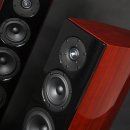 에이리얼 카카오 검색결과