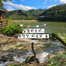 계룡숲작은도서관 | [충남/계룡] 자연경관이 멋있고 힐링되는 가볼만한 곳 &#39;입암저수지, 향적산 치유의 숲&#39;