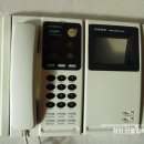 신정숙헤어