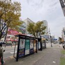 지니전자담배부천도당점 | 부천 상동 전자담배 단단해진 젤로 1225 에디션 후기