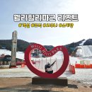 현대사우나 | 웰리힐리파크 9번 재방문 후기 객실 조식 사우나 스키장 현대홈쇼핑 패키지