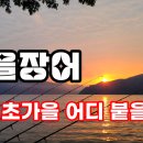 초가을 장어 어디 붙을까? #장어낚시 이미지