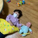 코~오 자자 이미지