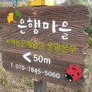 녹색농촌체험장 이미지