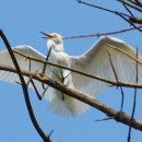 권율대로 이미지