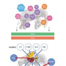 웰에이징의원 이미지