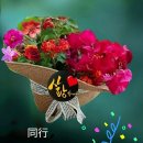 좋은친구 이미지