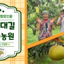 대길농장 이미지