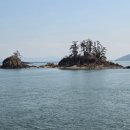 쥐똥섬펜션 이미지