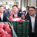 청과물처리장 이미지