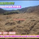 영천남부공인중개사사무소 이미지