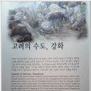 [한국여행] 강화역사박물관, 강화자연사박물관 이미지