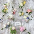 (주)까미노 이미지