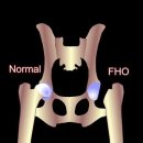 로로동물의료센터 이미지