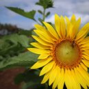 튼튼농장 이미지